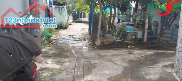 3741963 ảnh đại diện 1