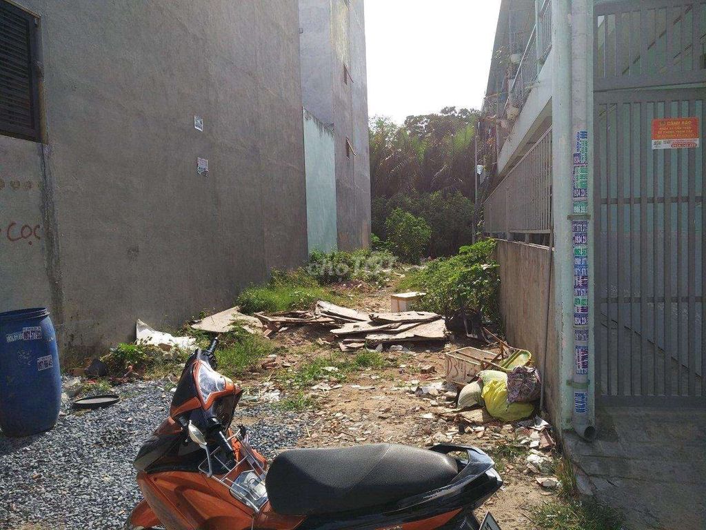 3746825 ảnh đại diện 2