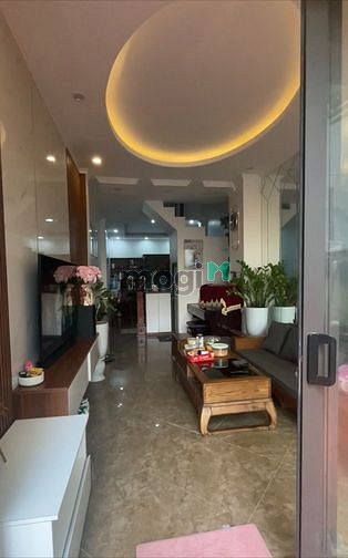 3745771 ảnh đại diện 1