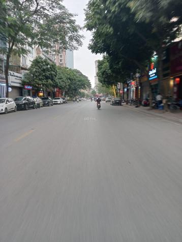 3735006 ảnh đại diện 1