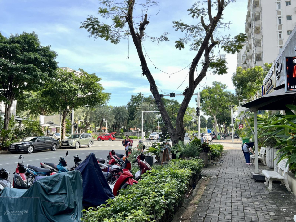 3730906 ảnh đại diện 1