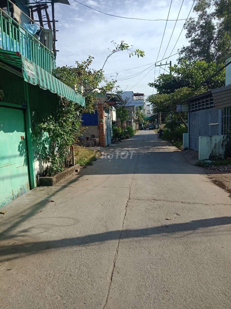 3748531 ảnh đại diện 1