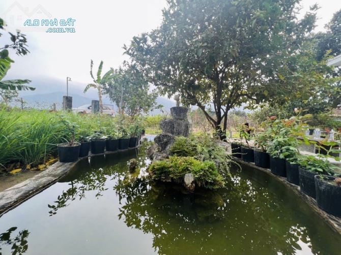 3737674 ảnh đại diện 1