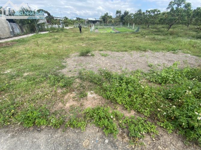 3737660 ảnh đại diện 2
