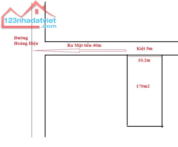 3748920 ảnh đại diện 1