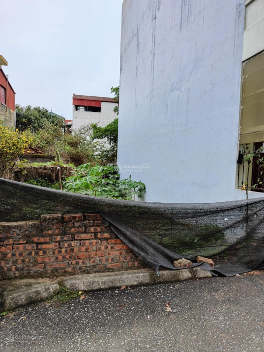 3729950 ảnh đại diện 1