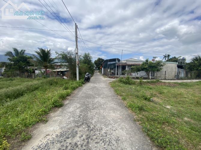 3737660 ảnh đại diện 1