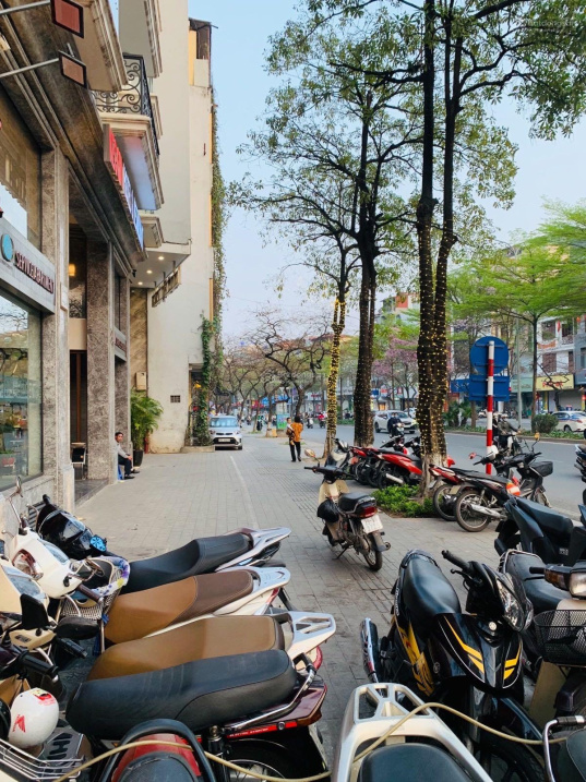 3748546 ảnh đại diện 2