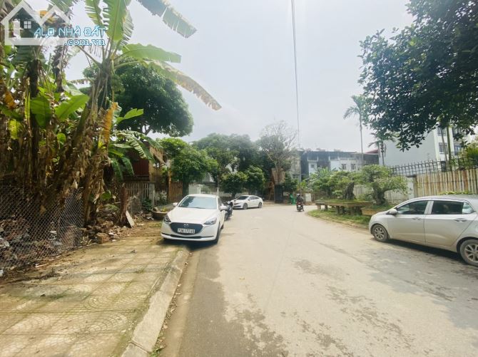 3749964 ảnh đại diện 1