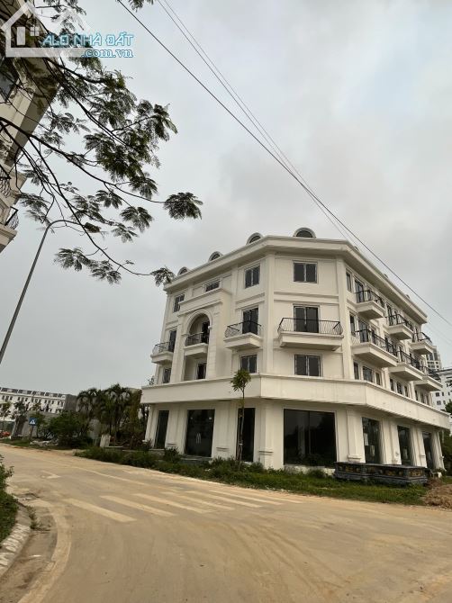 3749965 ảnh đại diện 1