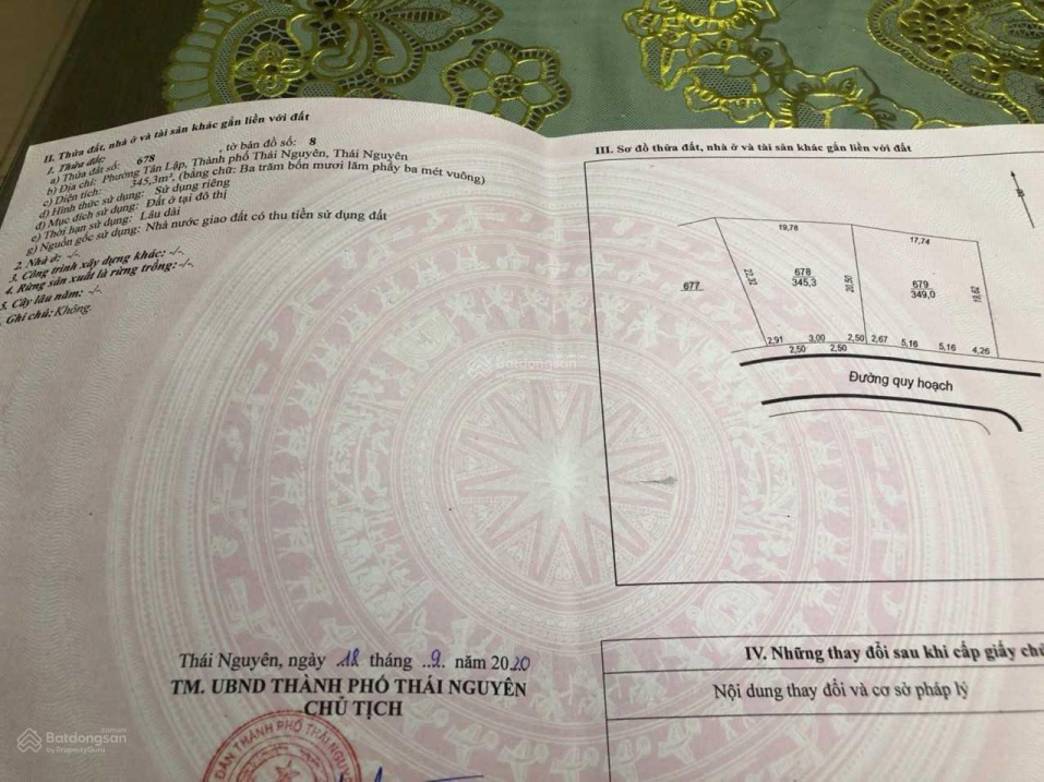 3747836 ảnh đại diện 2