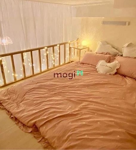 3748104 ảnh đại diện 2