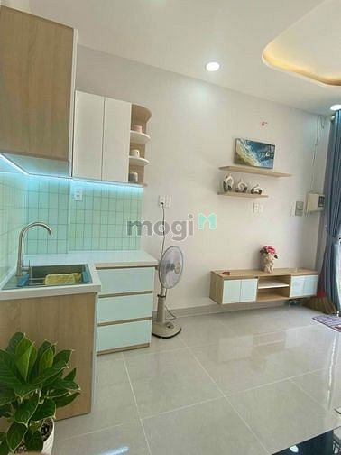 3738704 ảnh đại diện 1