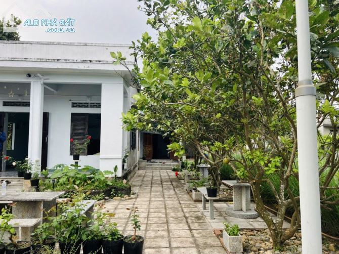 3737674 ảnh đại diện 1