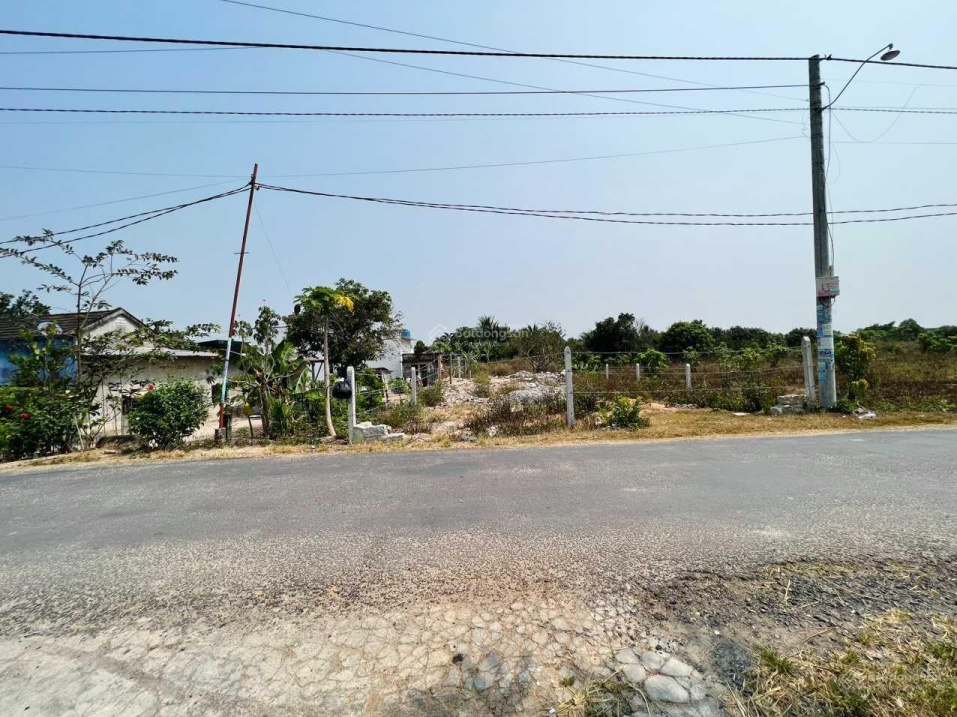 3728079 ảnh đại diện 1