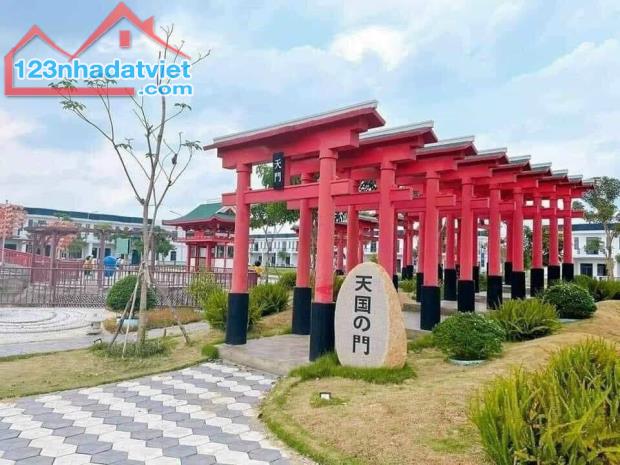 3746753 ảnh đại diện 1