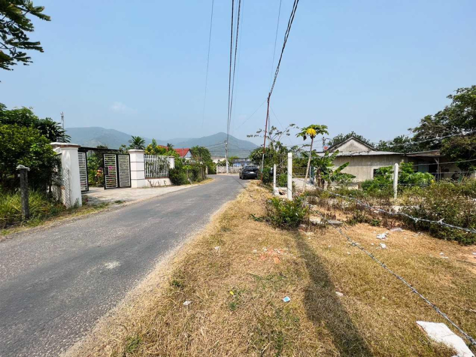3728079 ảnh đại diện 1
