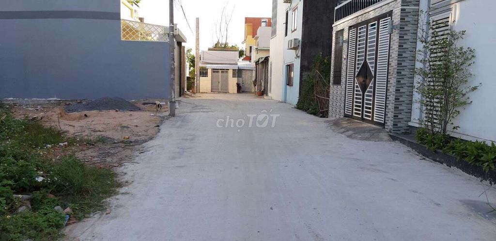 3746825 ảnh đại diện 1