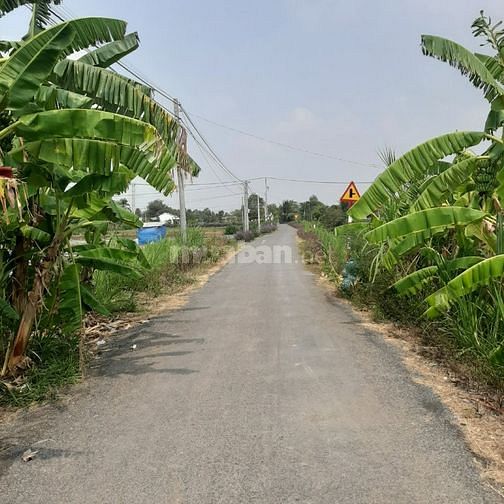 3757299 ảnh đại diện 1
