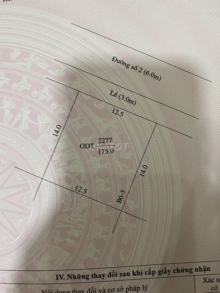 3755002 ảnh đại diện 1