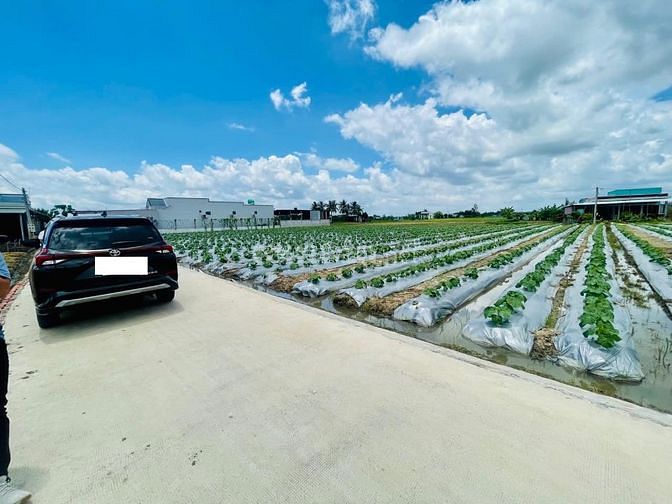 3757282 ảnh đại diện 1