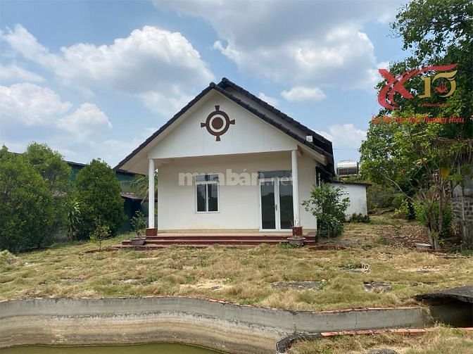 3761528 ảnh đại diện 2