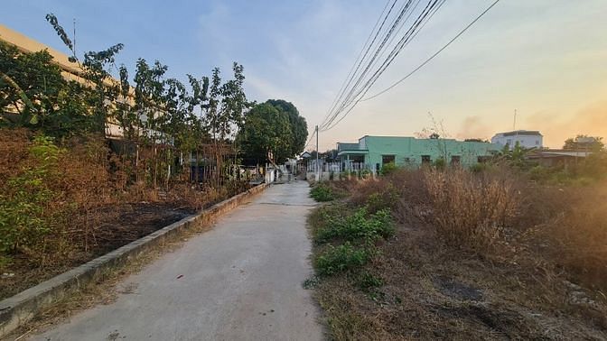 Cần Bán Gấp Nhà Vườn Vĩnh Thanh, Nhơn Trạch, Đồng Nai Giá Rẻ