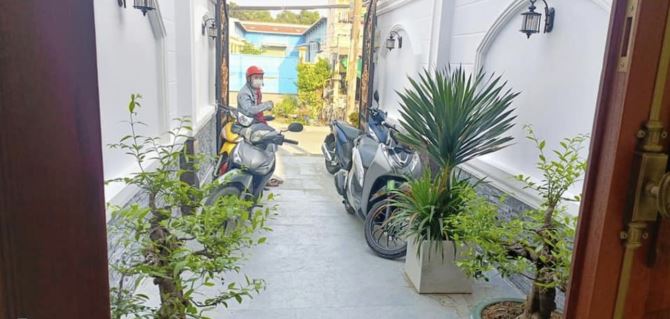 3754025 ảnh đại diện 1