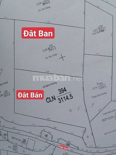 3760374 ảnh đại diện 1