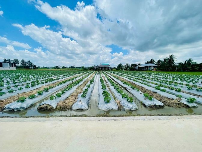 3757282 ảnh đại diện 1