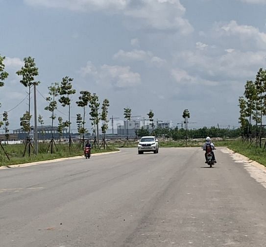 3761294 ảnh đại diện 1