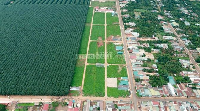 3761130 ảnh đại diện 2