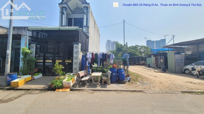 3759381 ảnh đại diện 1