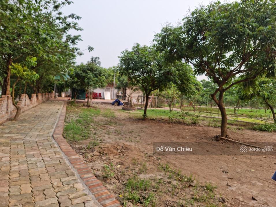 3755089 ảnh đại diện 1