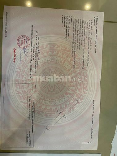 3761308 ảnh đại diện 1