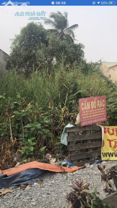 3758061 ảnh đại diện 1