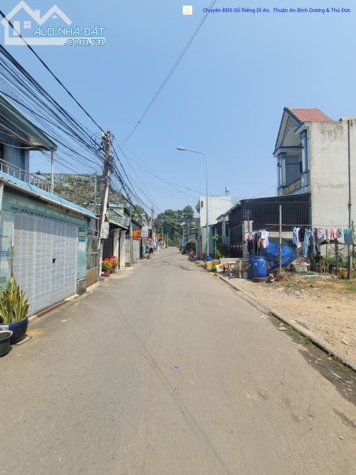 3759381 ảnh đại diện 2