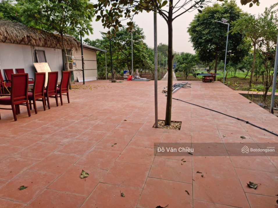 3755089 ảnh đại diện 2