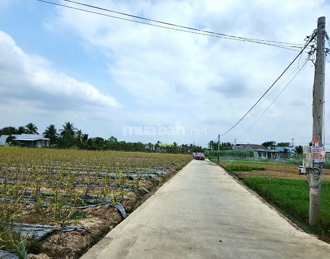 3757282 ảnh đại diện 2