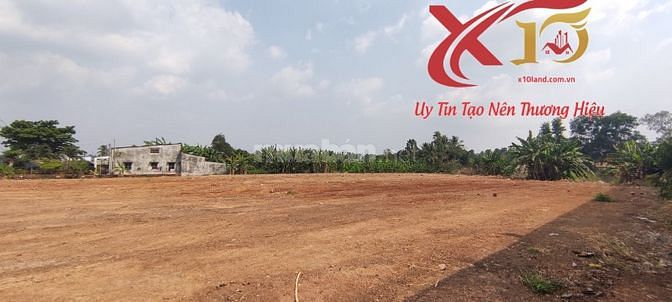 3761513 ảnh đại diện 1