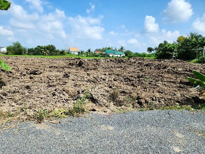 3757272 ảnh đại diện 1