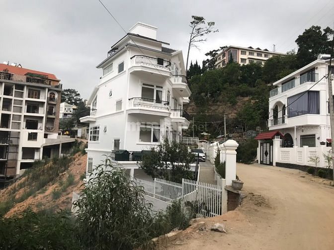3759501 ảnh đại diện 1