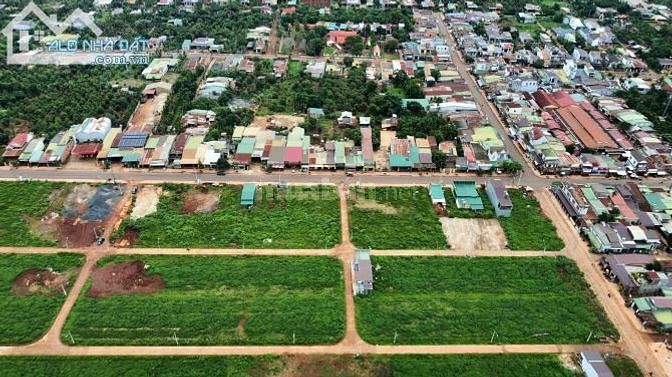 3761130 ảnh đại diện 1
