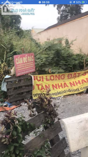3758061 ảnh đại diện 1