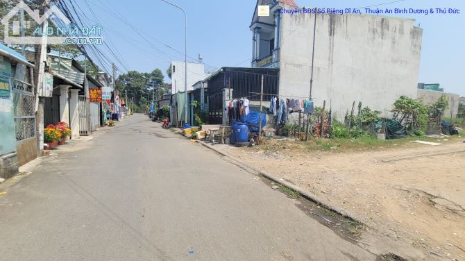 3759381 ảnh đại diện 1