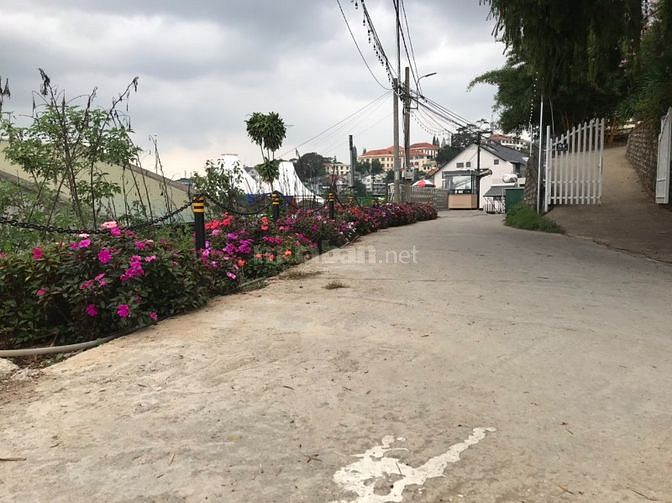 3759501 ảnh đại diện 1