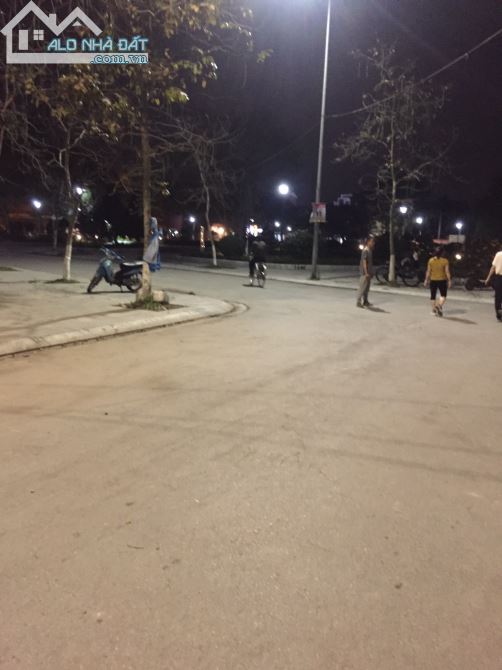 3762700 ảnh đại diện 2