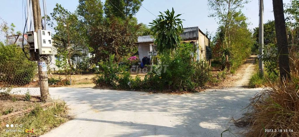 3761827 ảnh đại diện 1