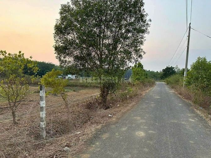 3763468 ảnh đại diện 1