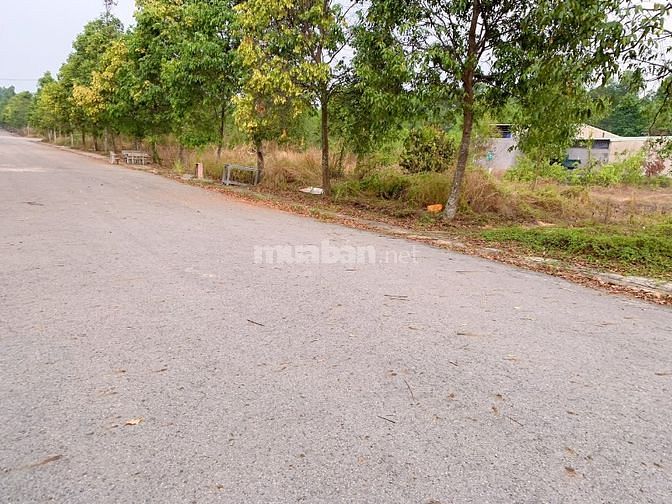 3763462 ảnh đại diện 1